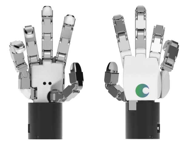 DG-5F 5 finger robotic hand gripping a cup